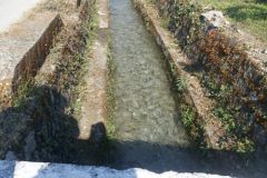 Untitled design - Community Survey-8