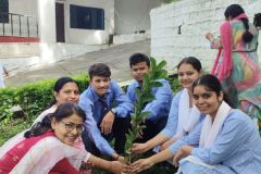 Untitled design - harela1