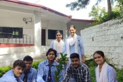 Untitled design - harela2