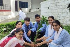 Untitled design - harela4