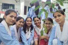 Untitled design - harela5