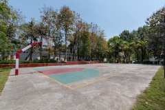 Basketball-1