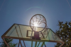 Basketball-2