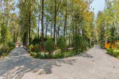 Outdoors-Path
